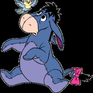 Meet your Posher, Nathan